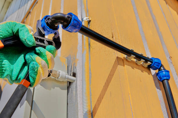 Best Drain Cleaning Services  in Mino, CA